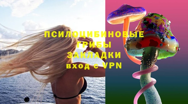 мдма Болотное