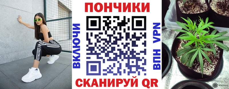 Каннабис White Widow Староминская